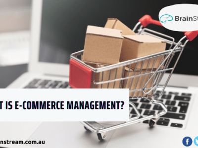 Ecommerce website management services