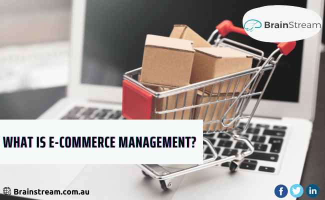 Ecommerce website management services