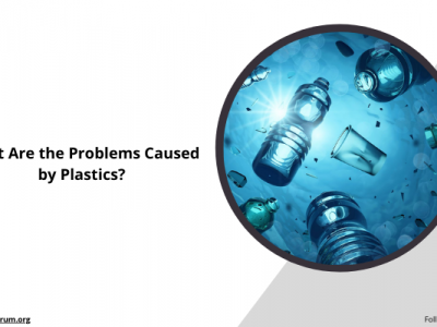 Problem with plastic pollution