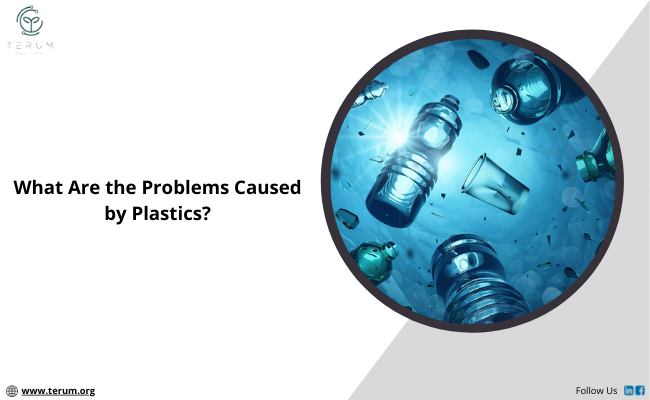 Problem with plastic pollution