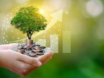 Sustainable Finance Investment Jobs