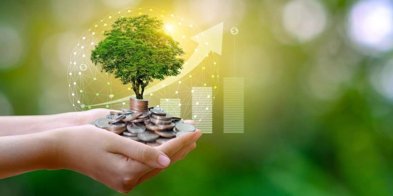 Sustainable Finance Investment Jobs