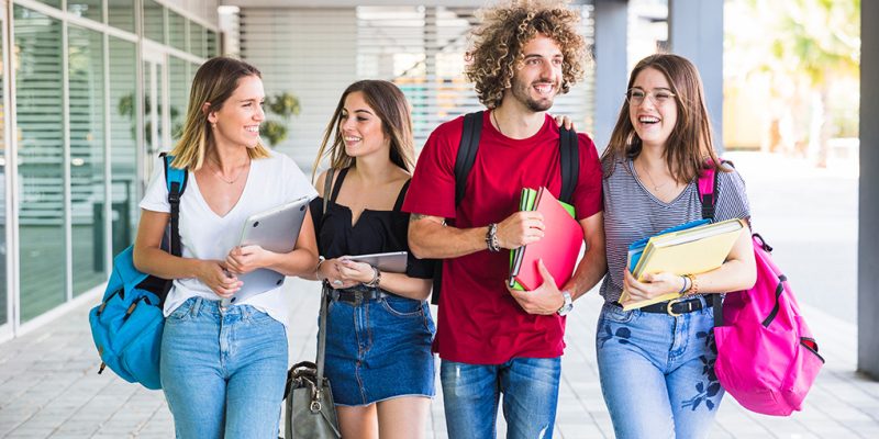 Professional Year Program Consultants